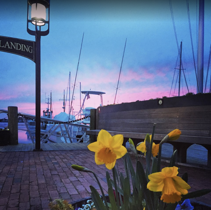 Bowen's Wharf Marina