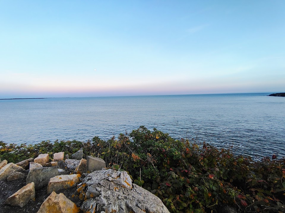 Cliff Walk Bench